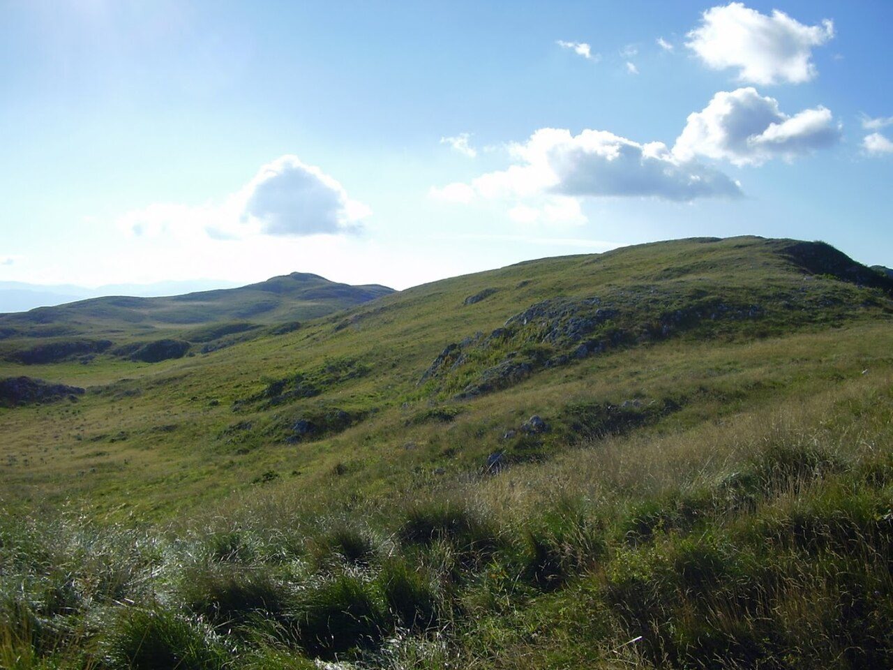 Green summer slopes on Jahorina under a blue sky with a few clouds