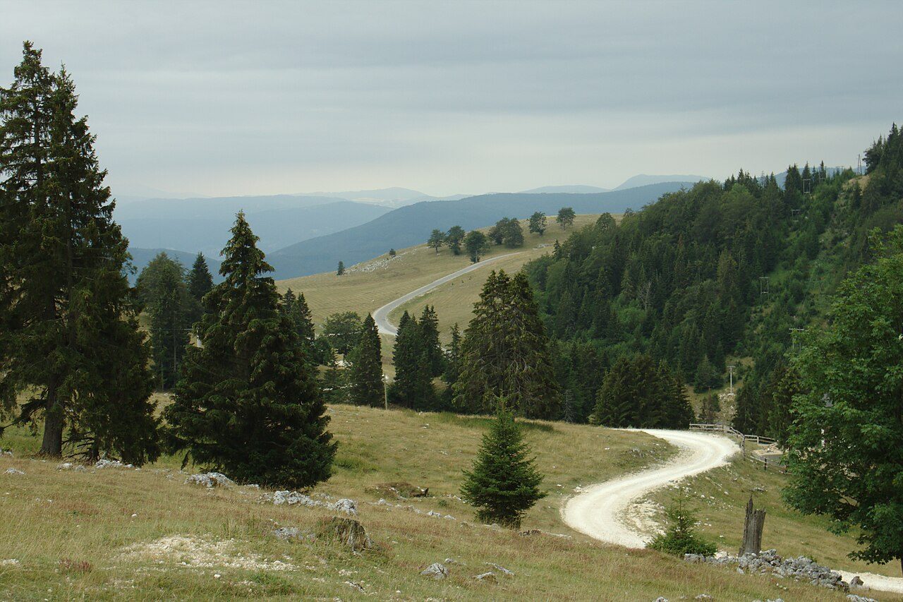 A winding gravel road through pine trees and highland meadows on Vlašić